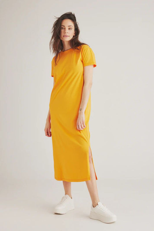 DRESS - AIMA
