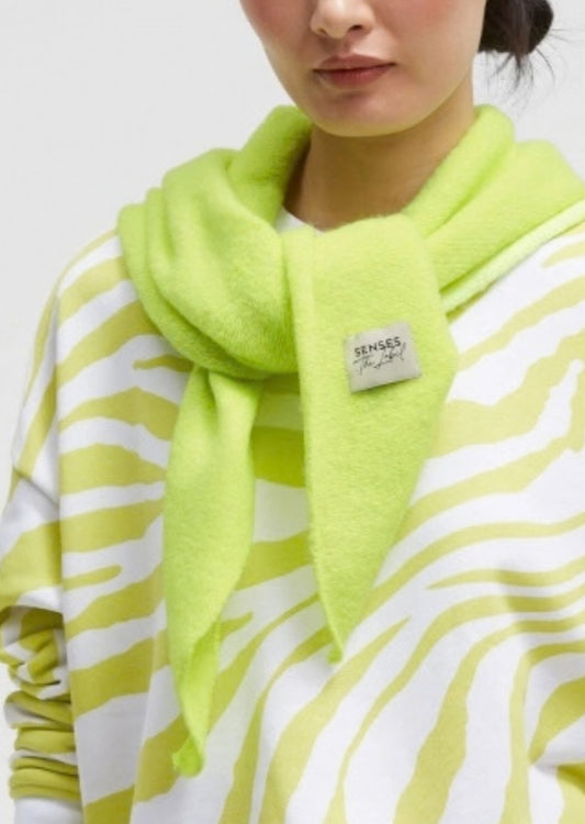 SCARF - AMICA